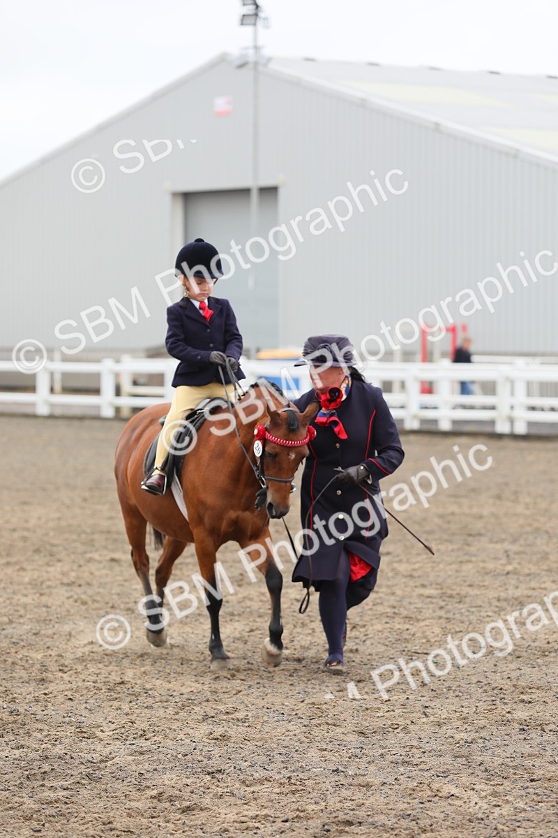 SBM_21772 - Class 806 - Young ridder 10 Yr & Under