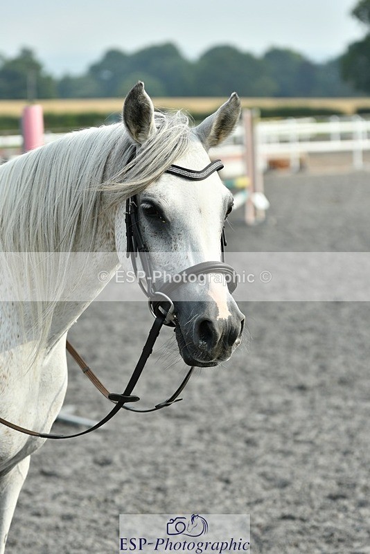 230817-094511-00248 - Theo's 1st Group - Arena