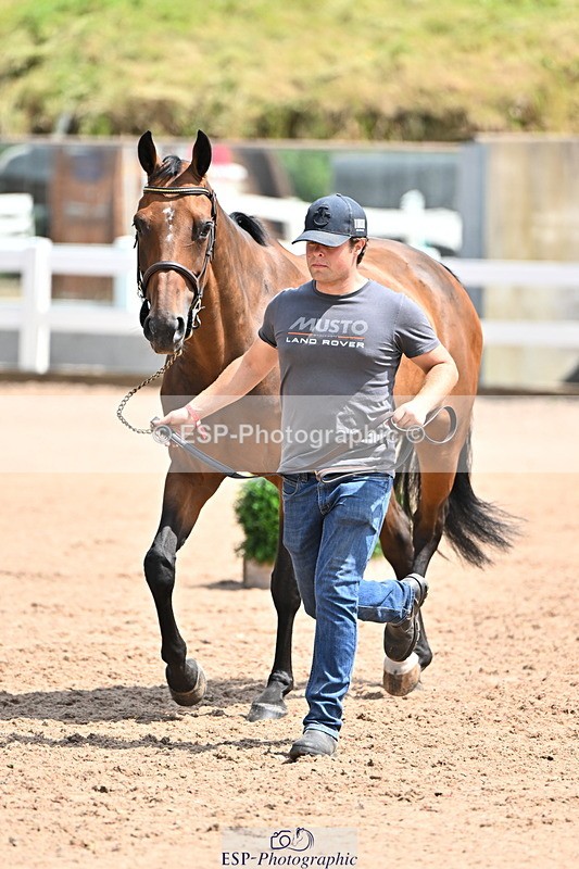 240718A-105303-01493 - Trot Up 12pm to 1pm