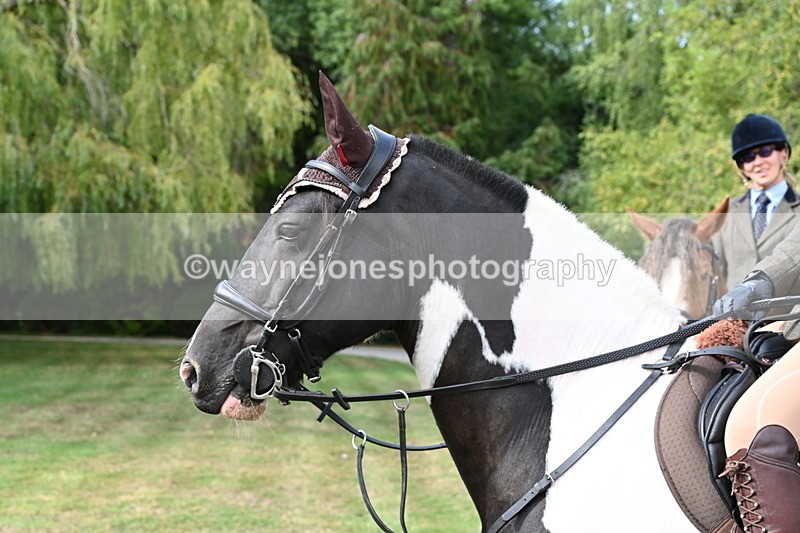 WJ6_3249 - Berks & Bucks - The Old farmhouse - Hound Exercise 20-08-25