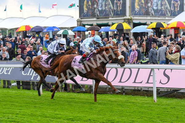 190523-Race 4-Giavellotto-0596 - Race 4 3.35pm Boodles Yorkshire Cup Stakes