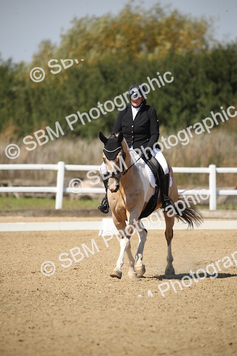 SBM_005083 - Class 11 - Novice 5 - 11.41-12.58