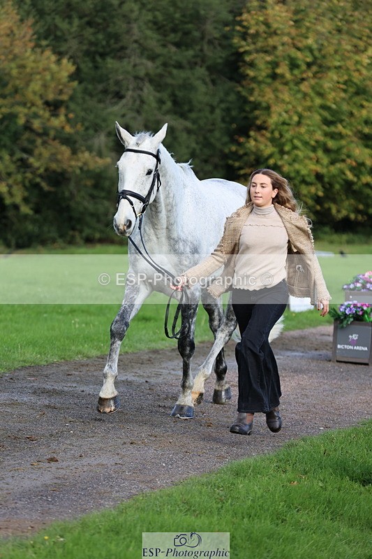 251026A-101911-22878 - D-329-Clementine.Montgomerie