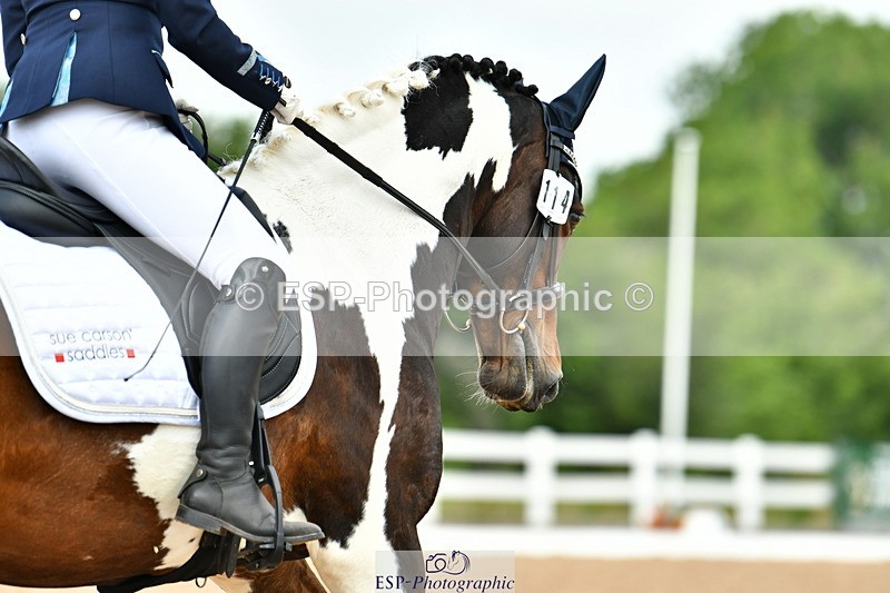 230701A-131144-06242 - Cls 8 Elementary 57