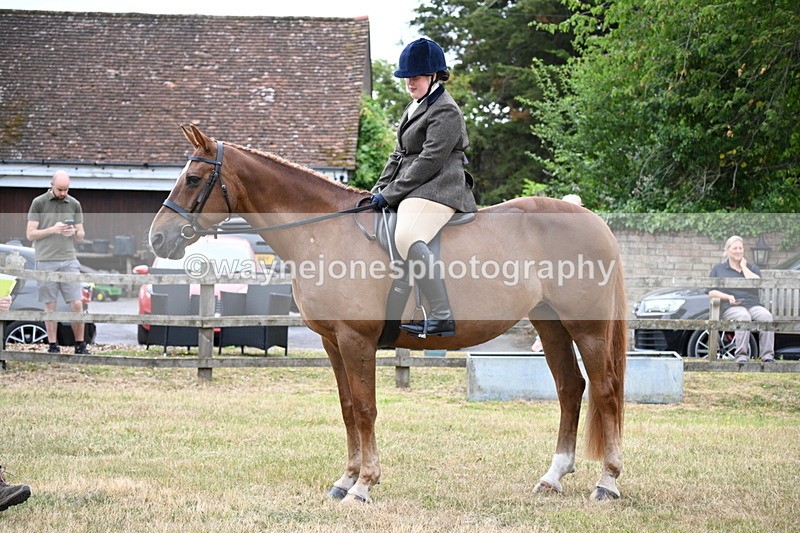 WJ6_3819 - Class 9 Tack & Turnout
