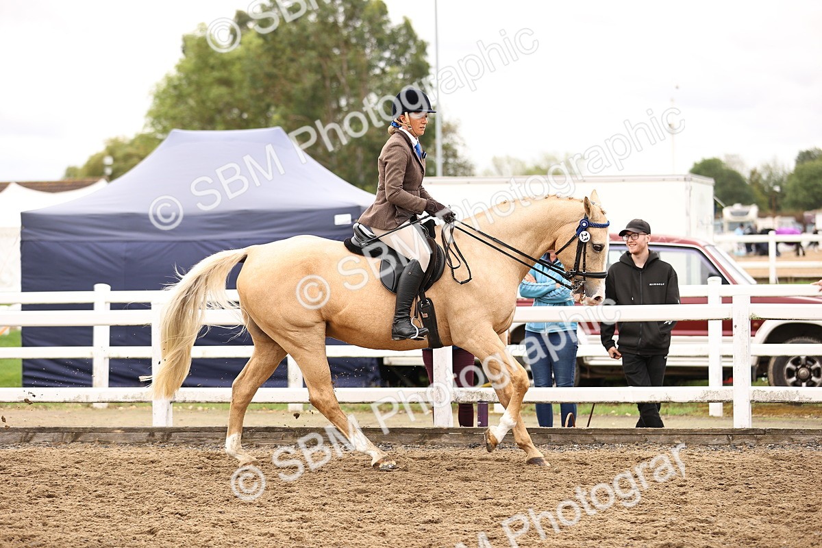 SBM_01412 - Class 54 - Riding Club Horse Pony