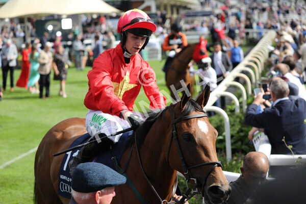 yr19082022r4-36 - Race 4 3.35pm Coolmore Wootton Bassett Nunthorpe Stakes (British Champion Series Race)