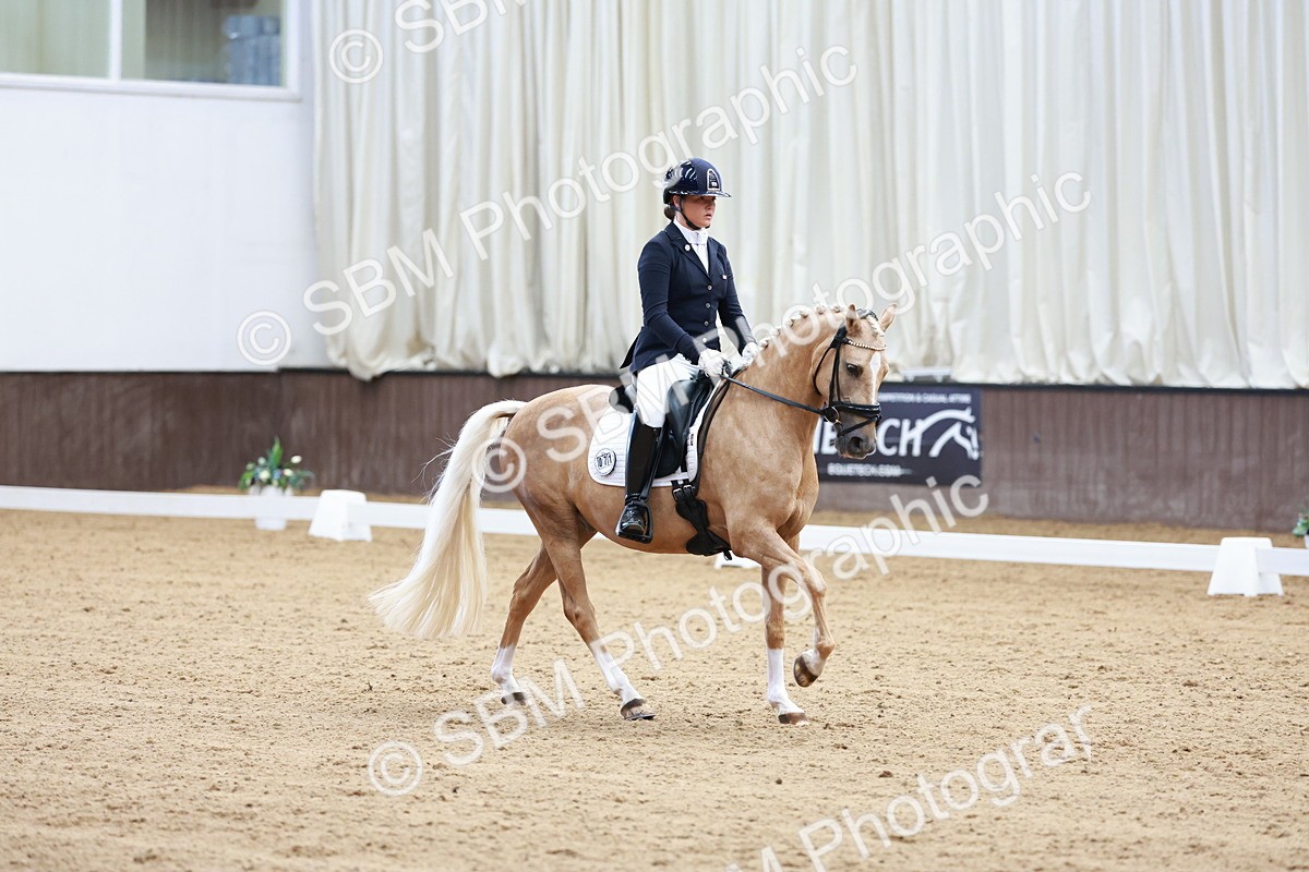 SBM_017328 - Class15 - FEI Pony