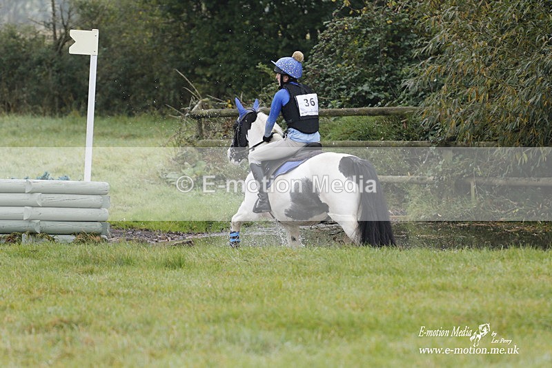 WWHT 171021 0669 - Novice Restricted (0.80m)  17/10/21