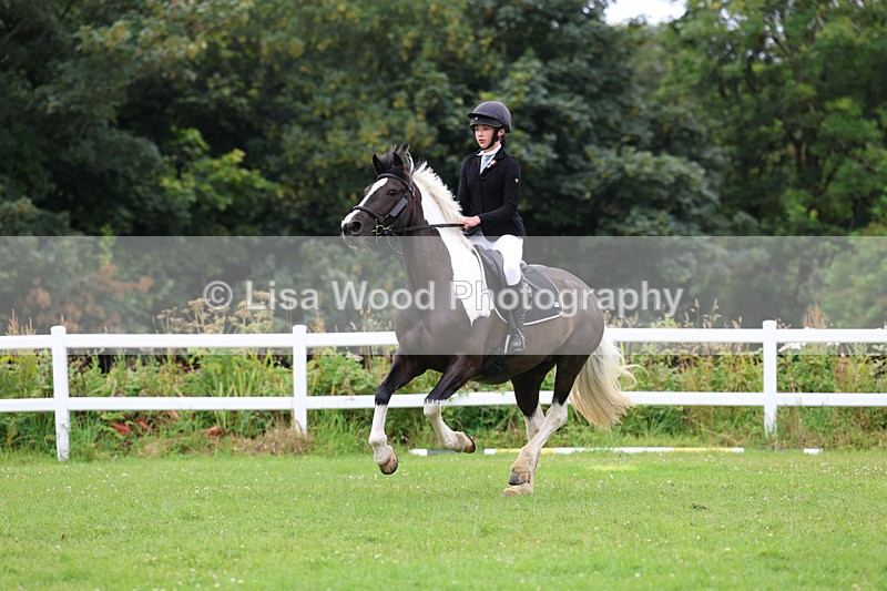 3E7A2449 - Class 7: 90cm open