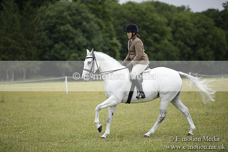 BVR160717-810 - Ring 1 BVRC Show 16/07/17