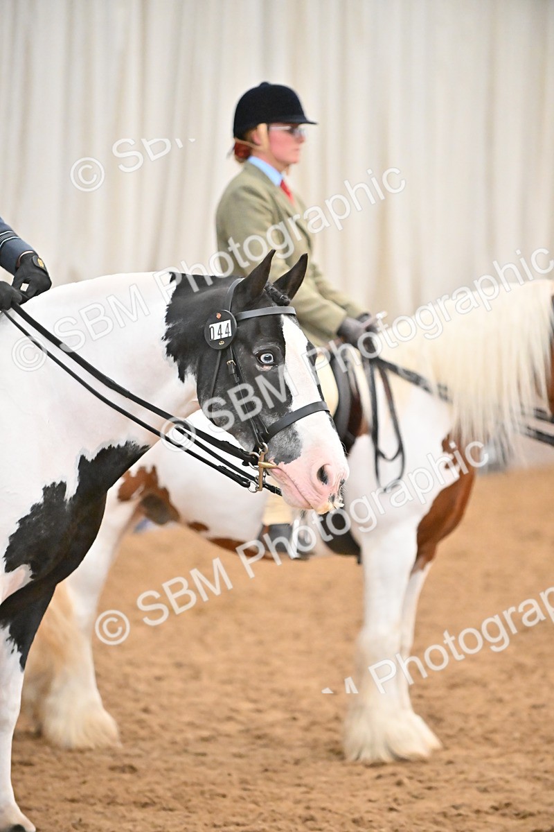 SBM_002654 - Class 28,29 - Ridden Irish & Coloured