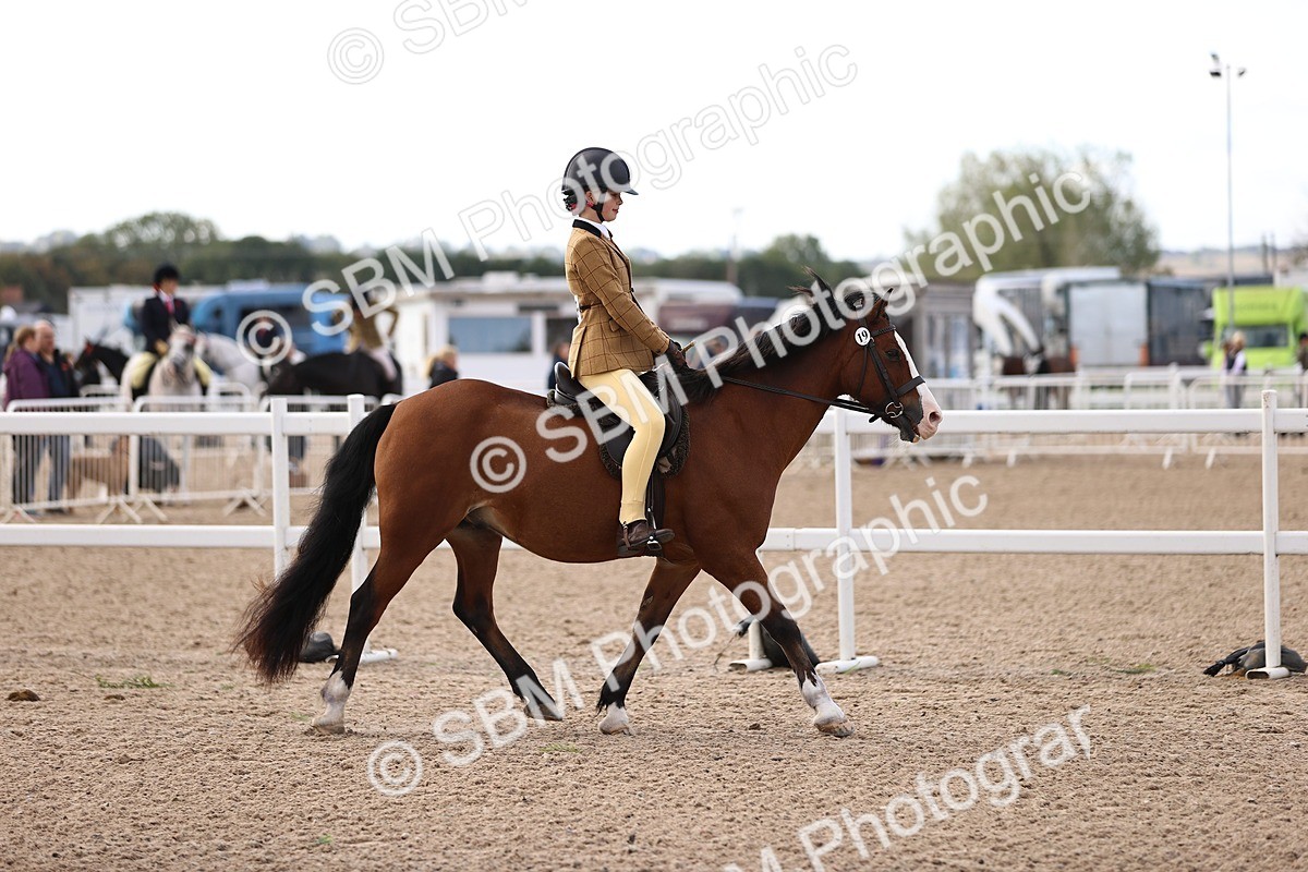 SBM_08999 - Class 403 - Grassroots Ridden - Junior