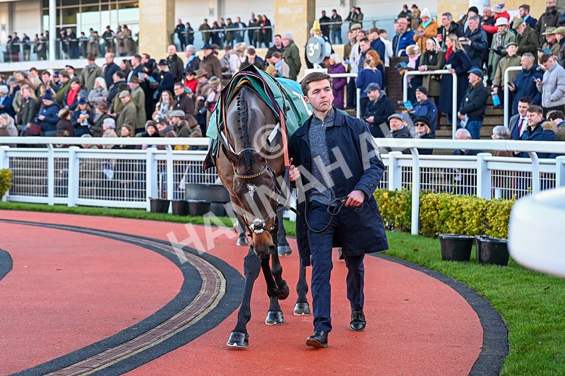 141224-Race 2-Peaky Boy-0391 - Race 2