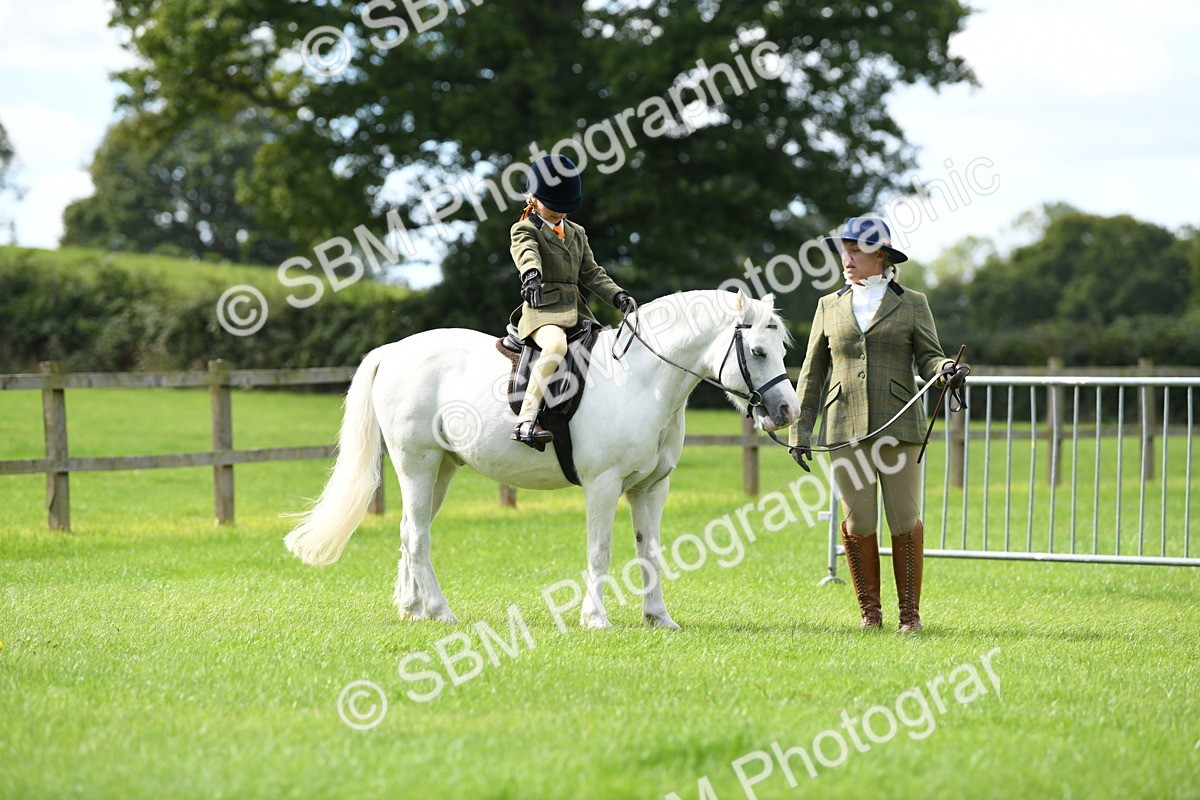 SBM_42481 - S20 - Lead Rein Mountain & Moorland Pony