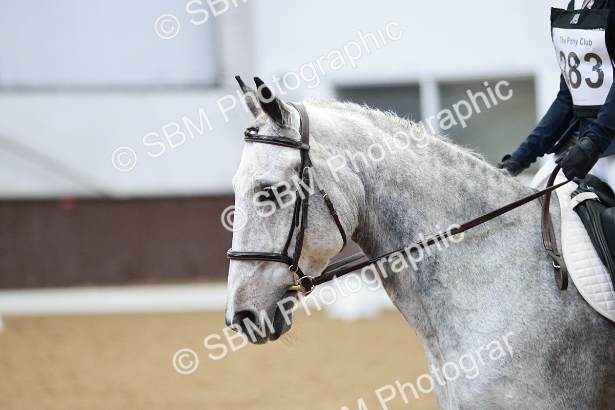 SBM_004394 - Class 2 - Novice 2020