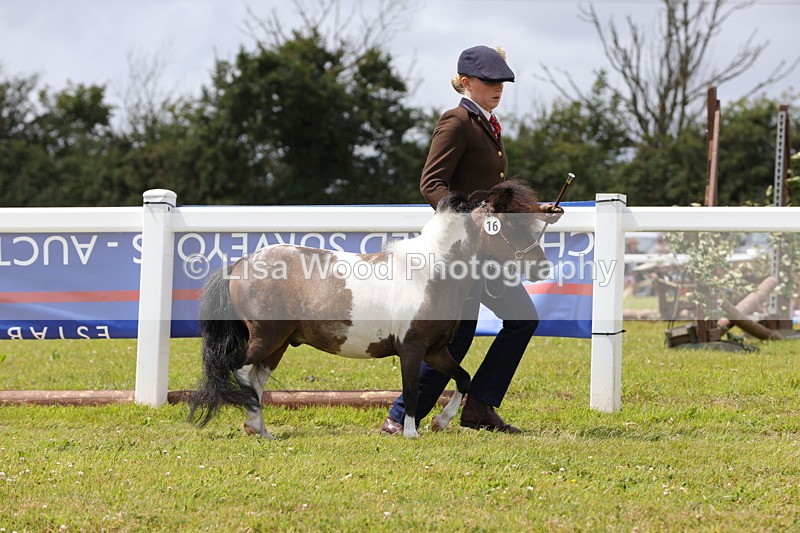 1X9A4778 - Class 35: Veteran In Hand