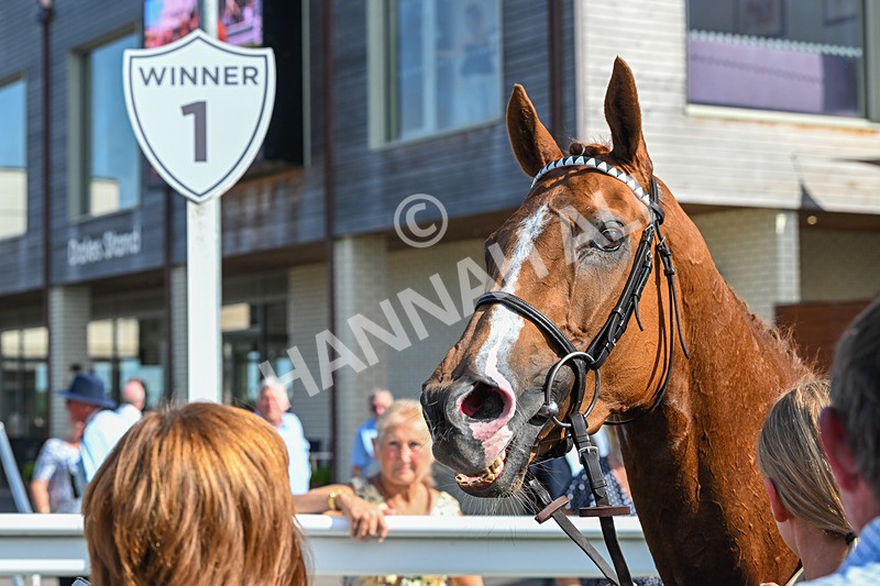 160725-Race 6-Bellarchi-9573 - Race 6