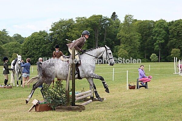 IMG_2746 - Working Hunter