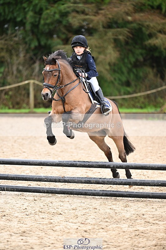 260222A-113626-00659 - 50cm All sections