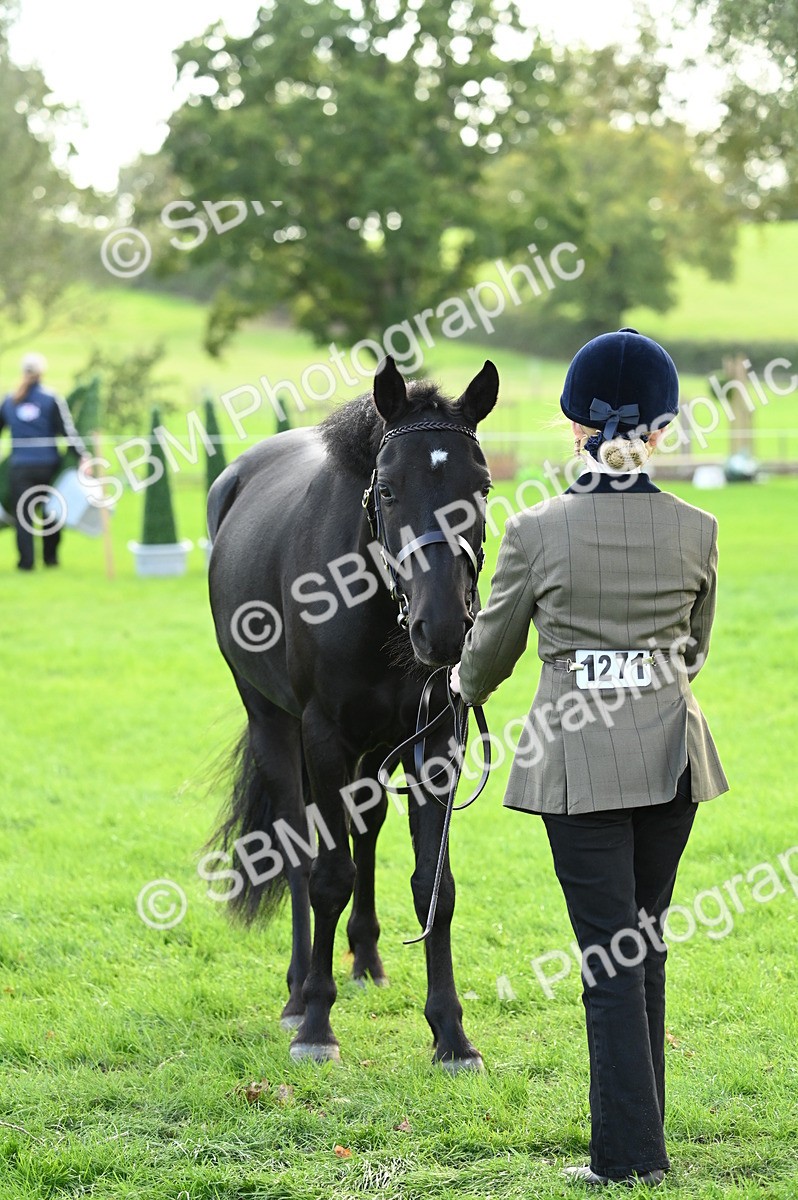 SBM_25000 - S5 - Novice & Newcomer In hand