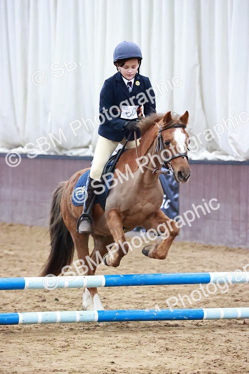 SBM_000566 - Class 2 - Show Jumping 50cm