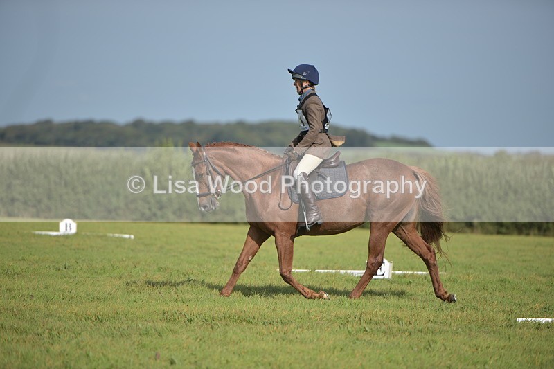 RAY_7837 - Class 2B: Trekenning Open: Dressage