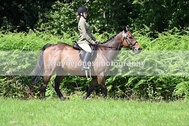 WJ7_1514 - Class 11 Condition & Turnout
