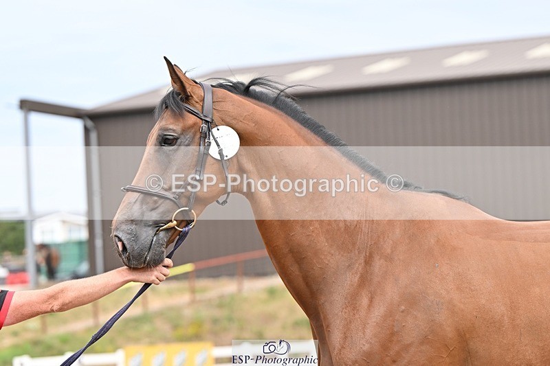 250716-153456-02030 - Trot Up 3.30 to 4.30