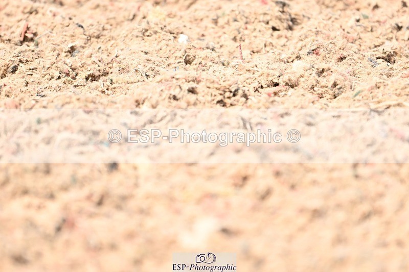 250620-145433-03821 - BD Cls 7 - Elementary 5, 14.40 to End