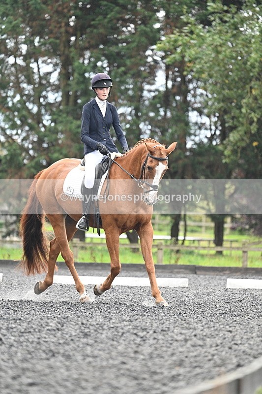 WJ7_6733 - Time 14:49 to 15:14