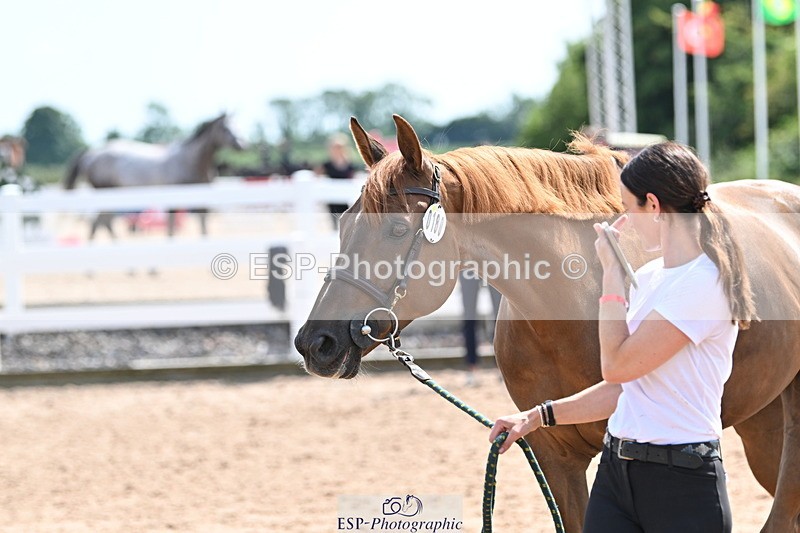 240717A-150758-02570 - Trot Up 3pm to 4pm