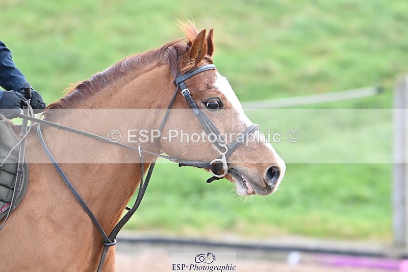 240127A-100719-00377 - SJ 50cm