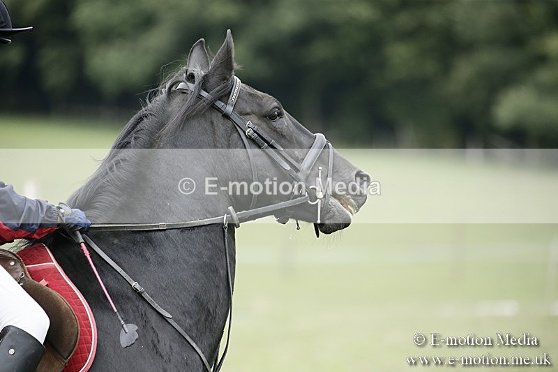 BVR080918 389 - BVRC Novice Dressage & CR 08/09/18