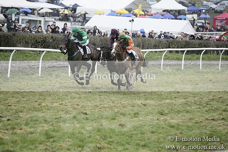 PtP 020418 -240 - Old Berks Point-to-Point Races Easter Monday 02/04/18