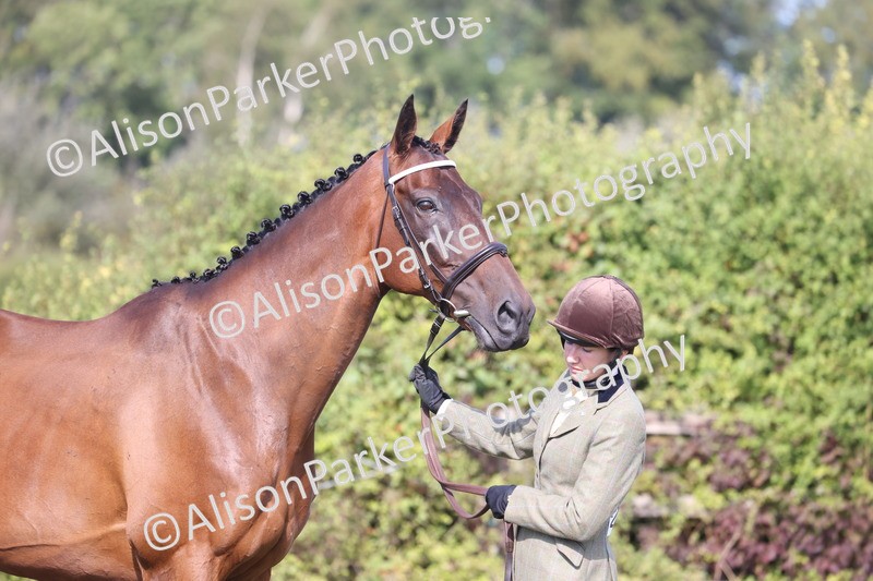 20260906-0682 - Class 22 - Ex Racehorse
