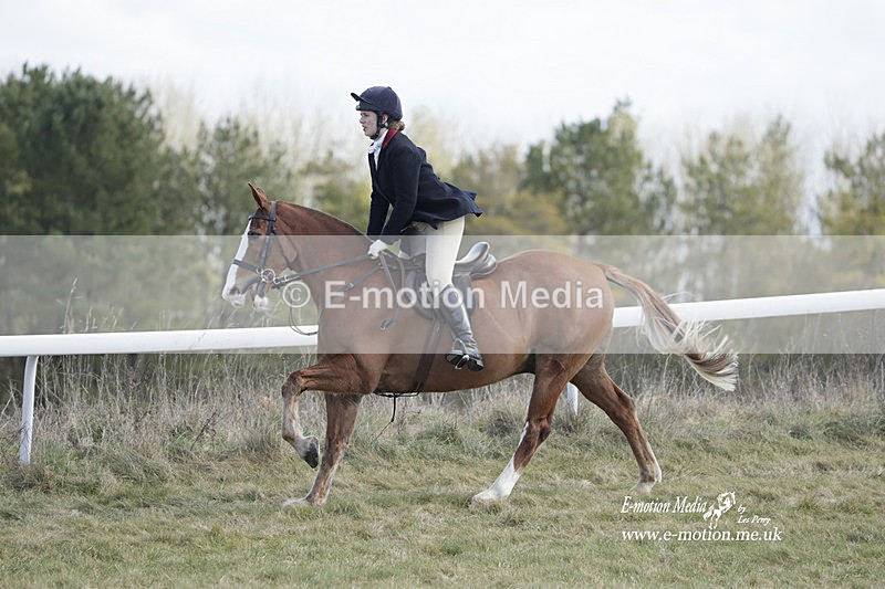 PtP 260223 604 - South & West Wilts Point-to-Point Larkhill 26/02/23