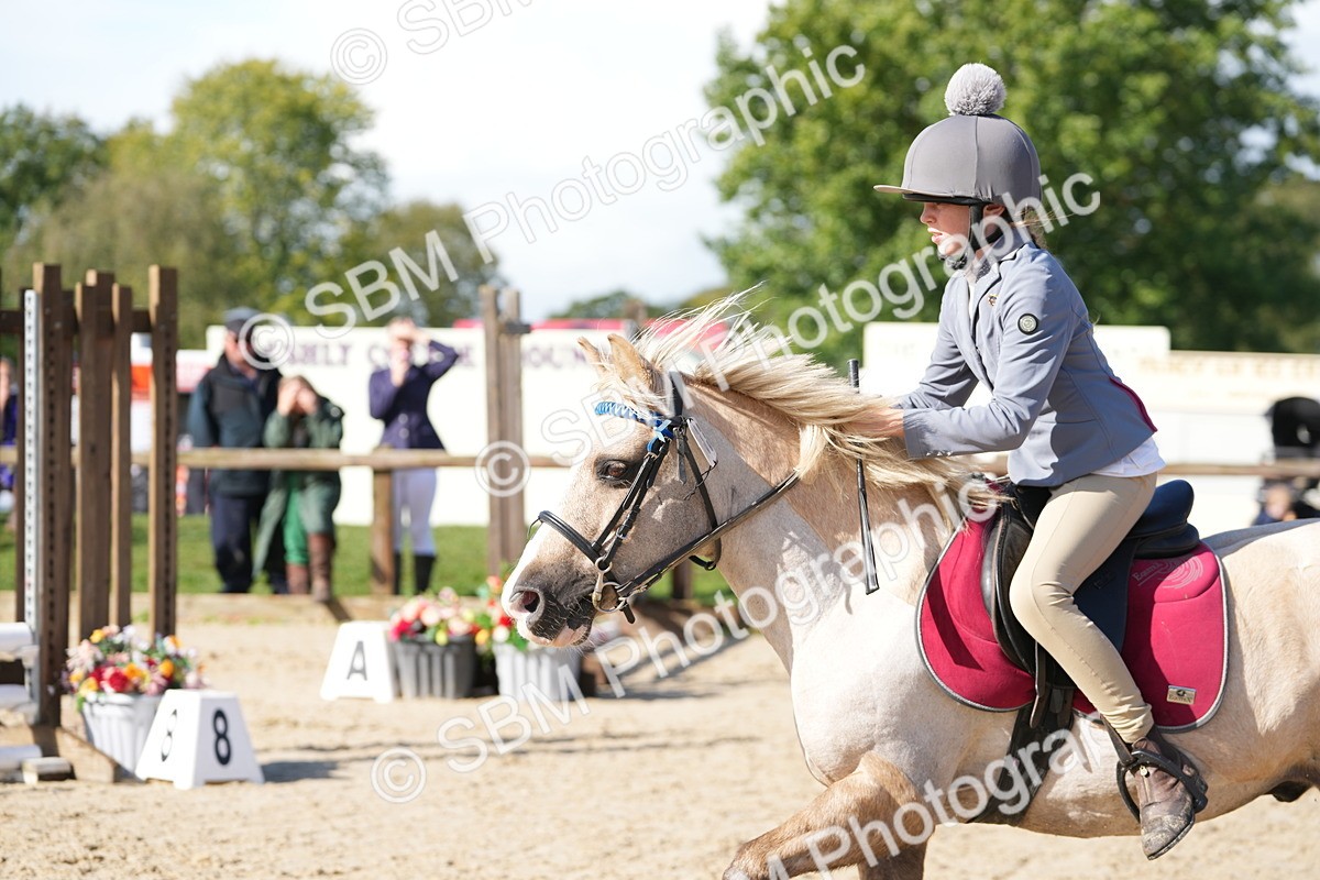 SBM_38303 - J6 - Junior Pony 55cm Championship
