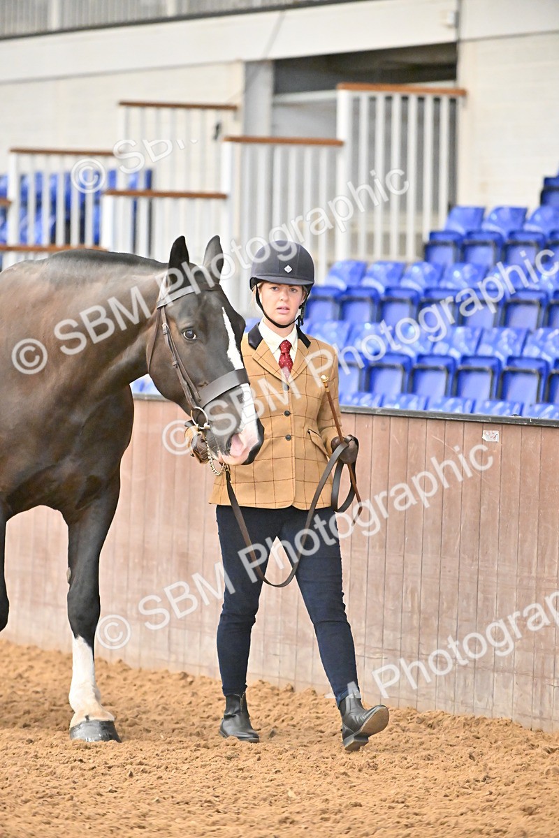 SBM_000073 - Class 4 - BSHA In Hand Show Cob