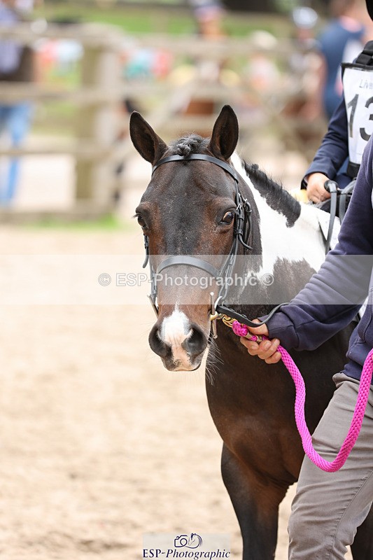 240822X-131511-07132 - 40cm LR R1 12.20 to 14.10