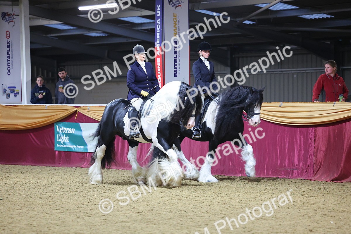 0B8A4344 - Class M Ridden Pairs Champ