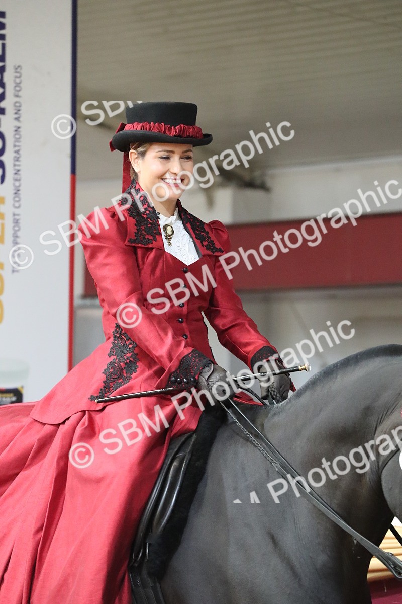 SBM_12100 - Class 107 Ridden Costume- Astride Adult (20+)