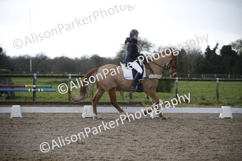 20260127-0412 - Class 17 - BD Novice 3