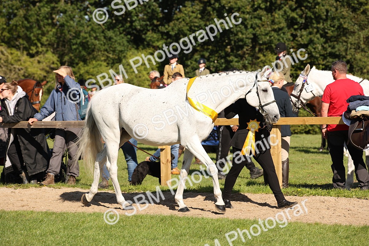 SBM_36660 - S10 - Best In Hand Horse & Pony