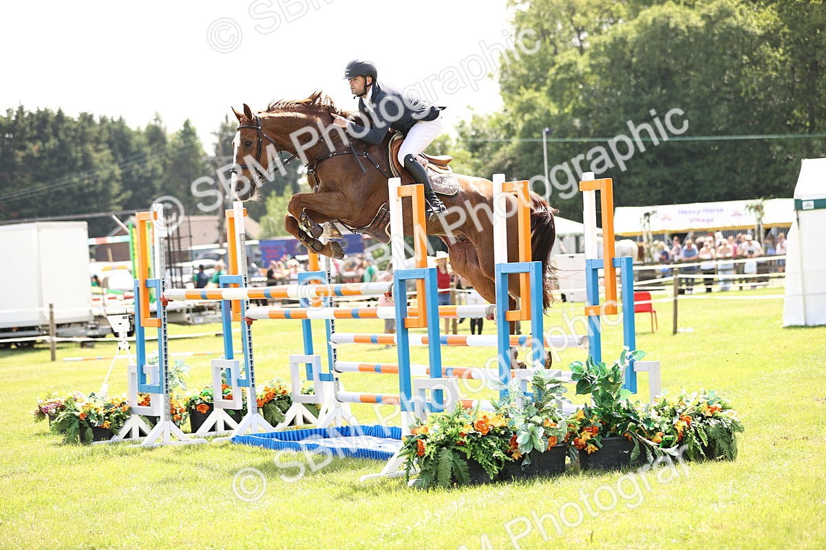 SBM_03295 - Class 201 - British Horse Feedds Speedi Beet HOYS Grade C