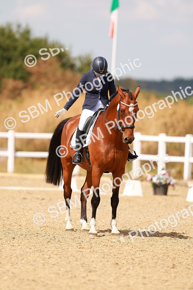 SBM_018603 - Class 9 - N5 Bronze 11.57.13.07