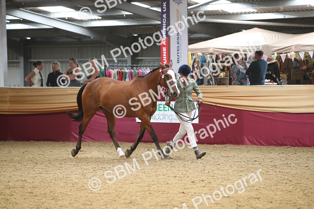 SBM_05690 - Class 9R - Regional IH Pre-Vet