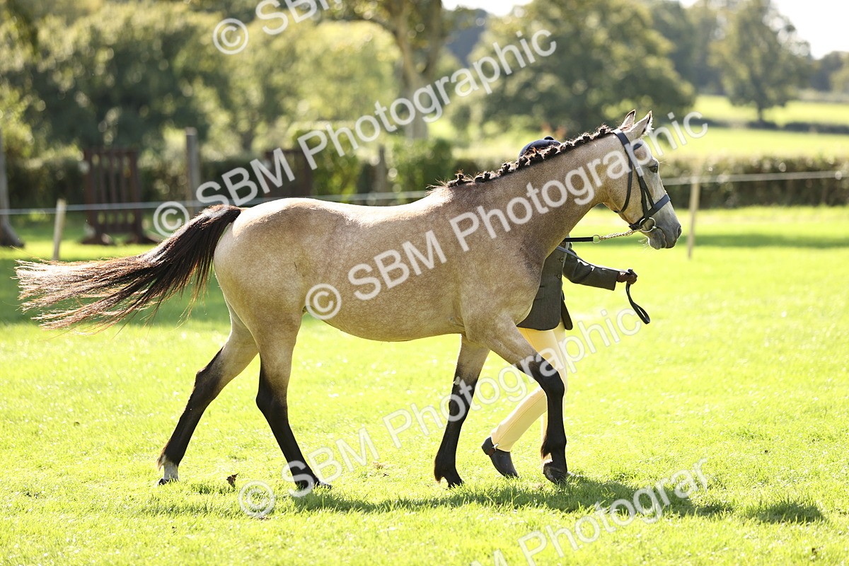 SBM_26117 - S5 - Novice & Newcomers In Hand