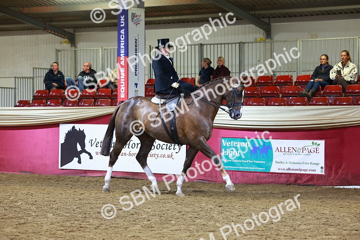 SBM_14700 - Class J - Foreign Breeds Champ