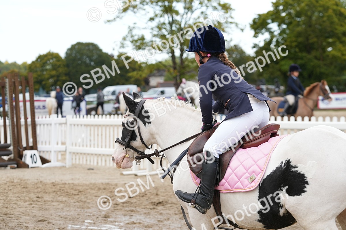 SBM_32478 - J5 - Junior Pony 50cm Championship